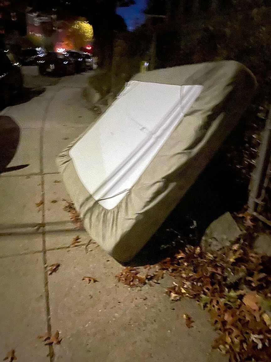 Image submitted with report