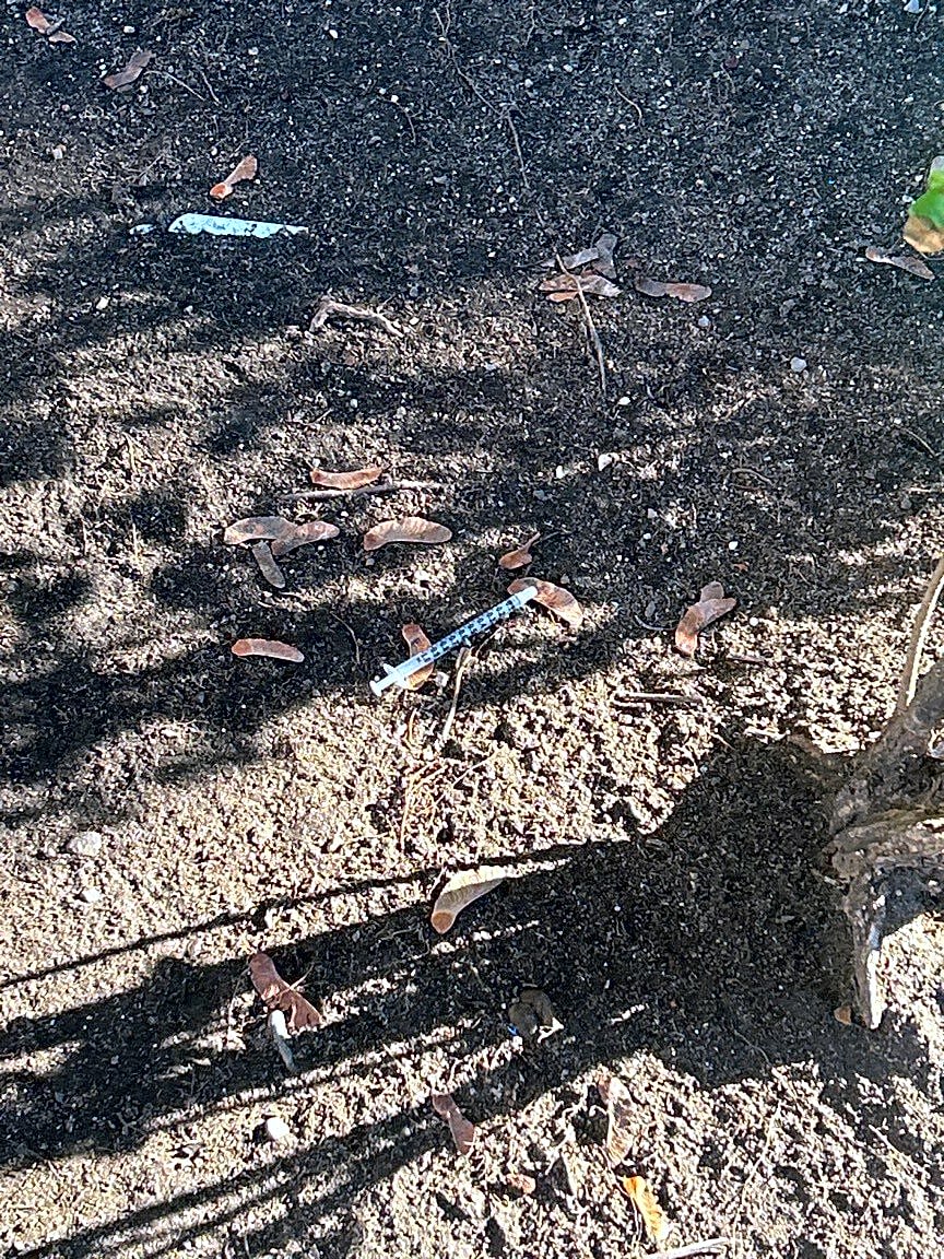 Image submitted with report