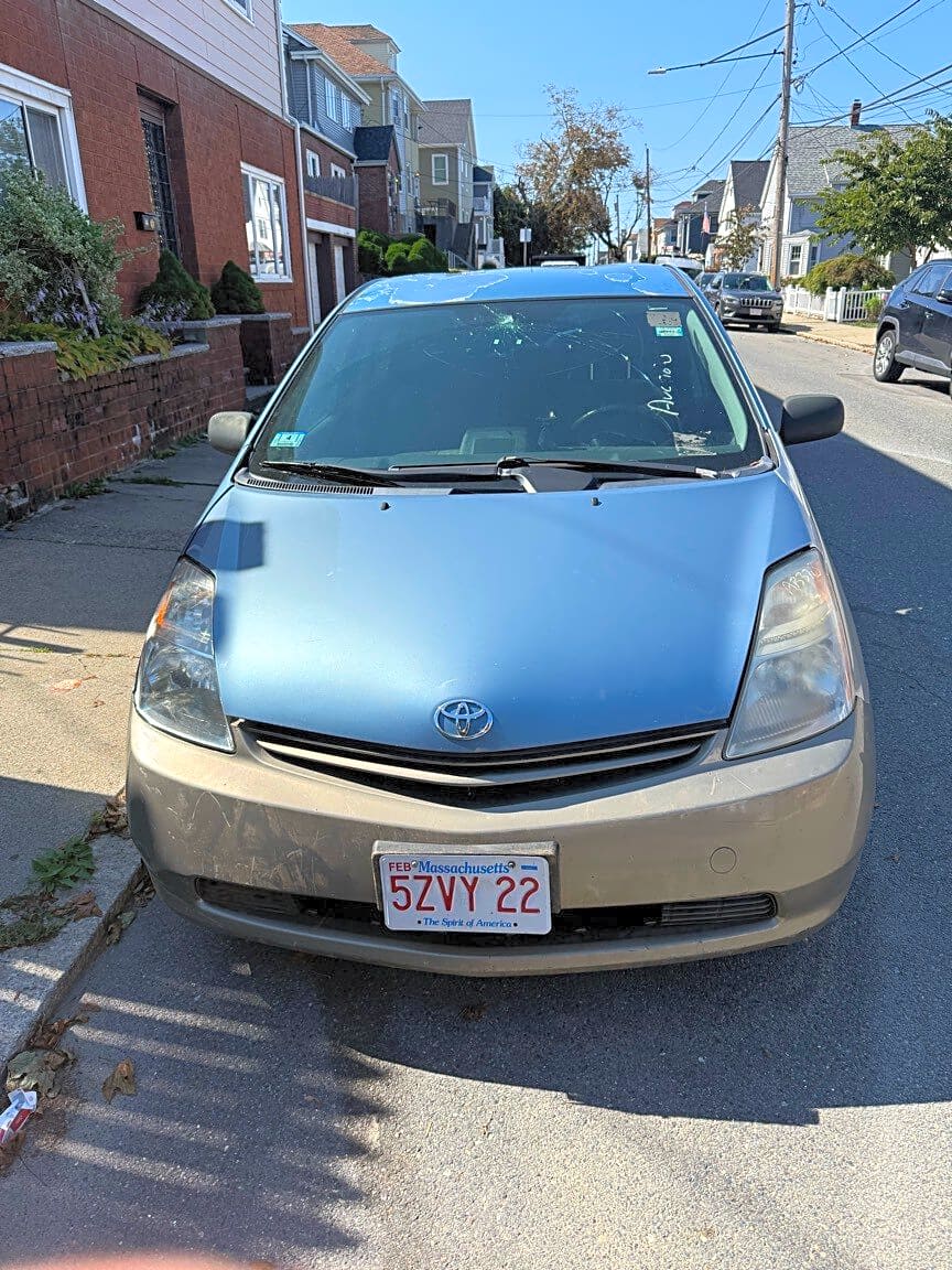 Image submitted with report