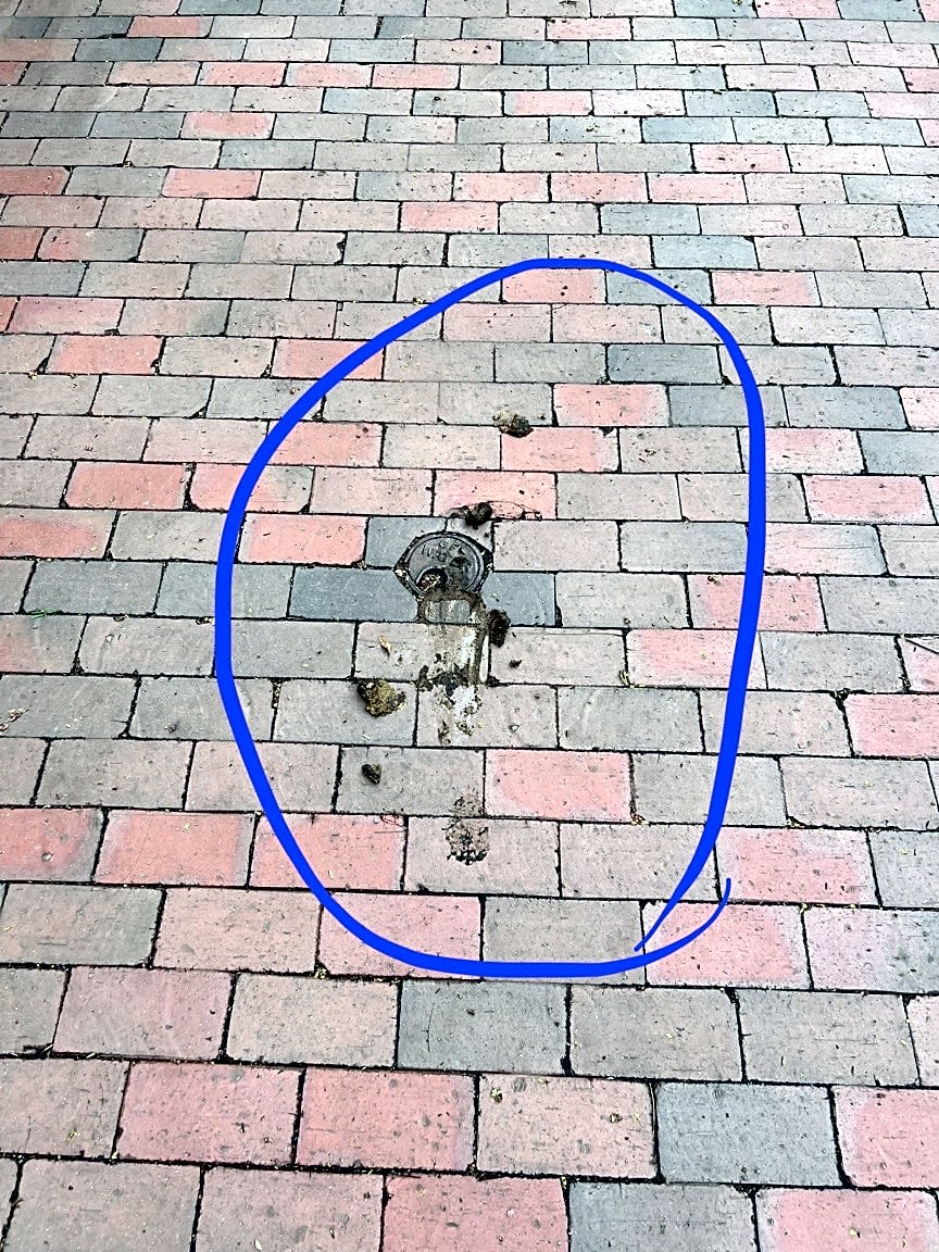 Image submitted with report