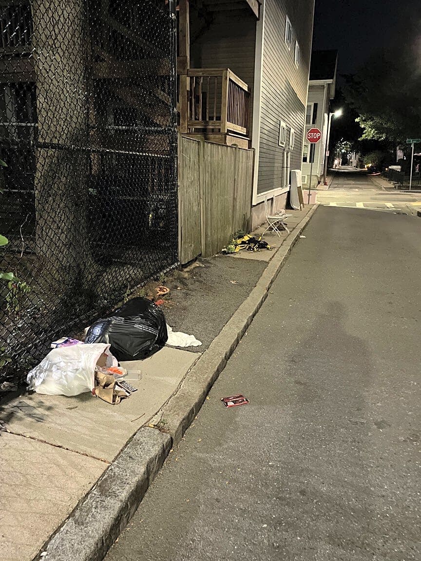 Image submitted with report
