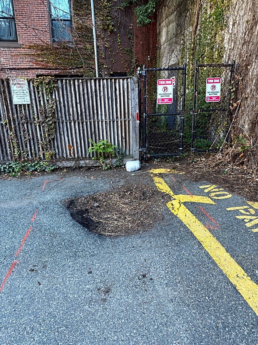 Image submitted with report