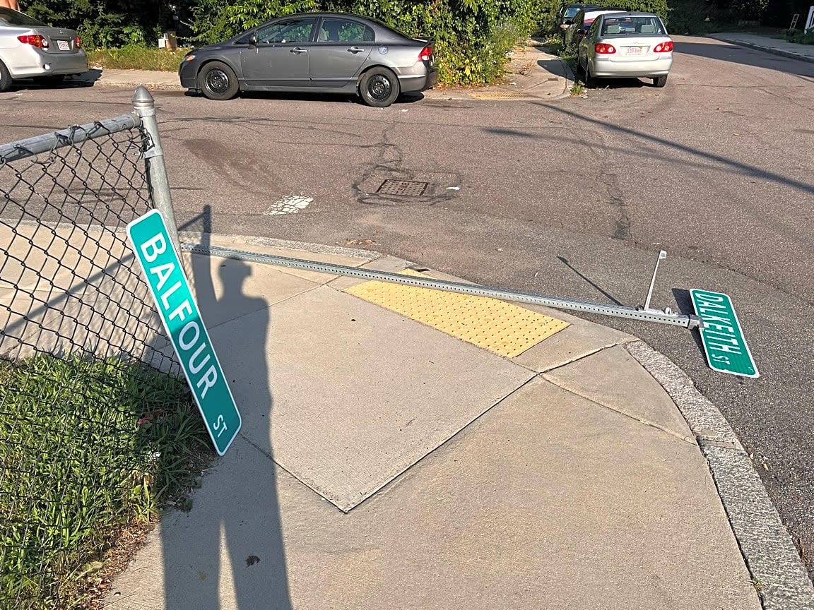 Image submitted with report