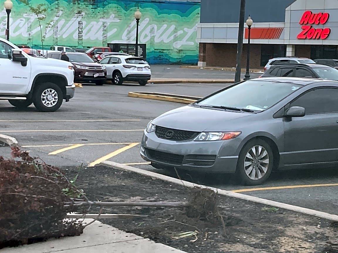 Image submitted with report