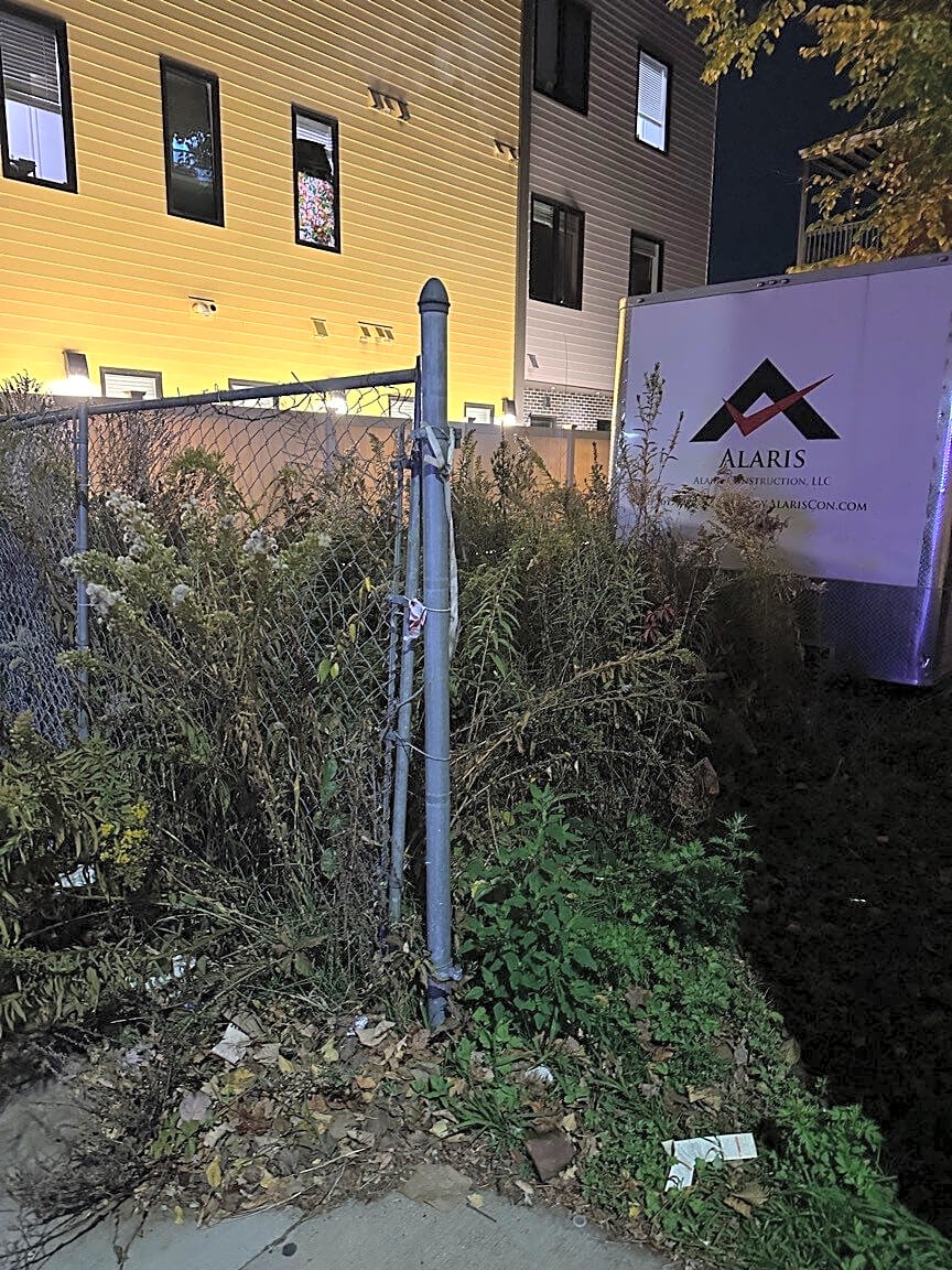 Image submitted with report