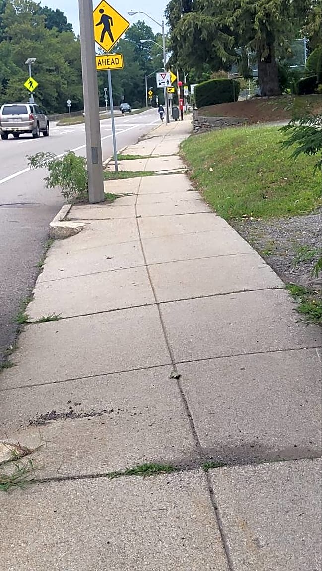 Image submitted with report