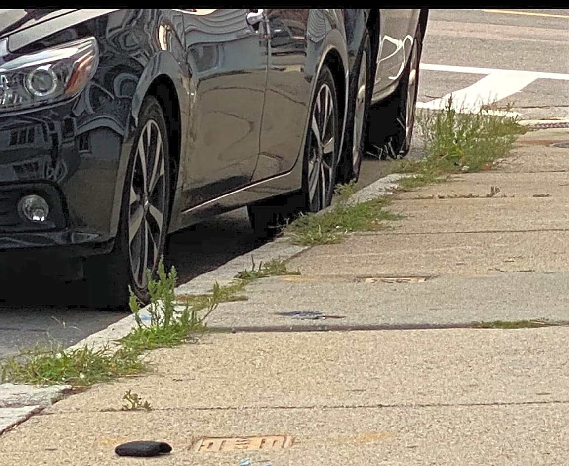 Image submitted with report