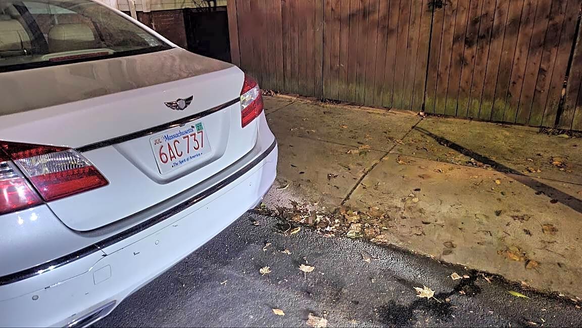 Image submitted with report