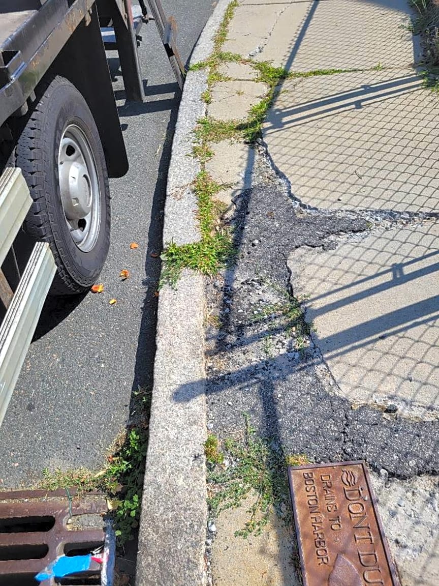 Image submitted with report