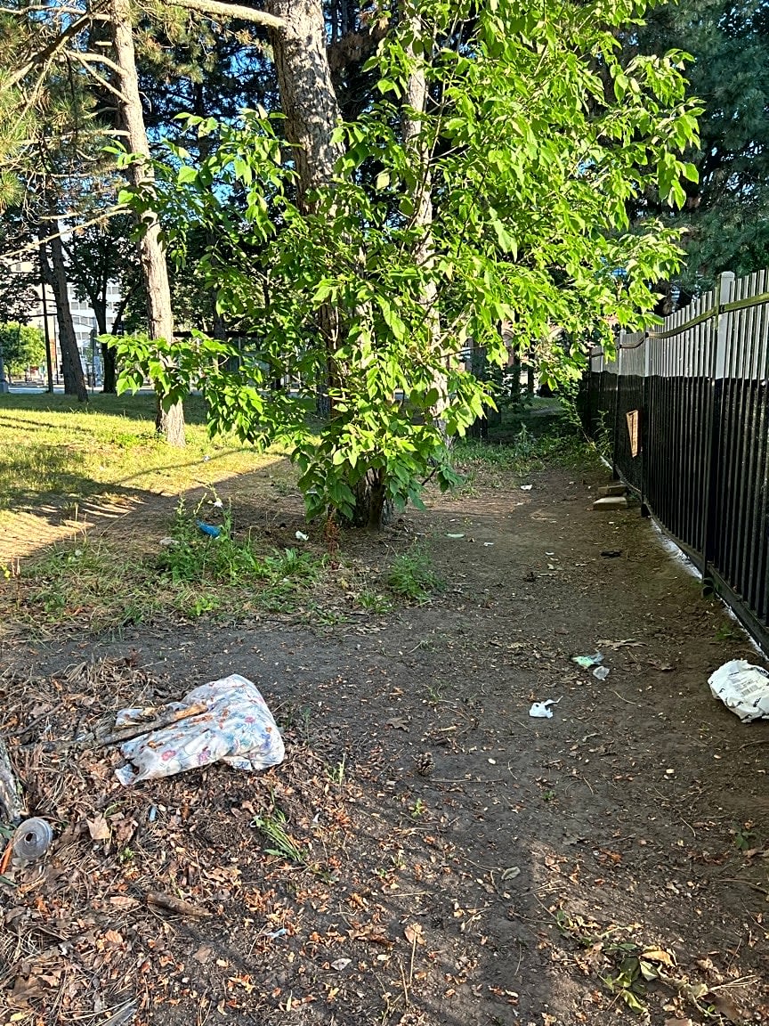 Image submitted with report