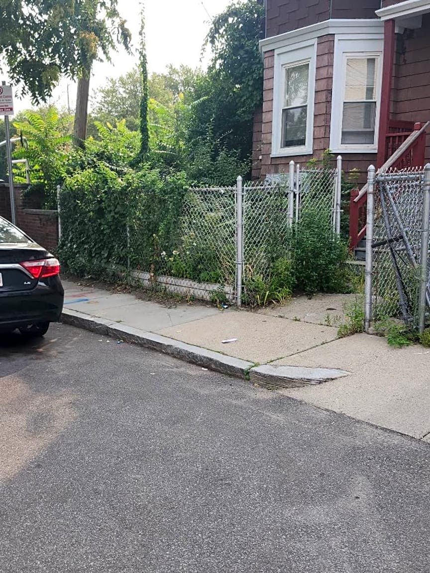 Image submitted with report