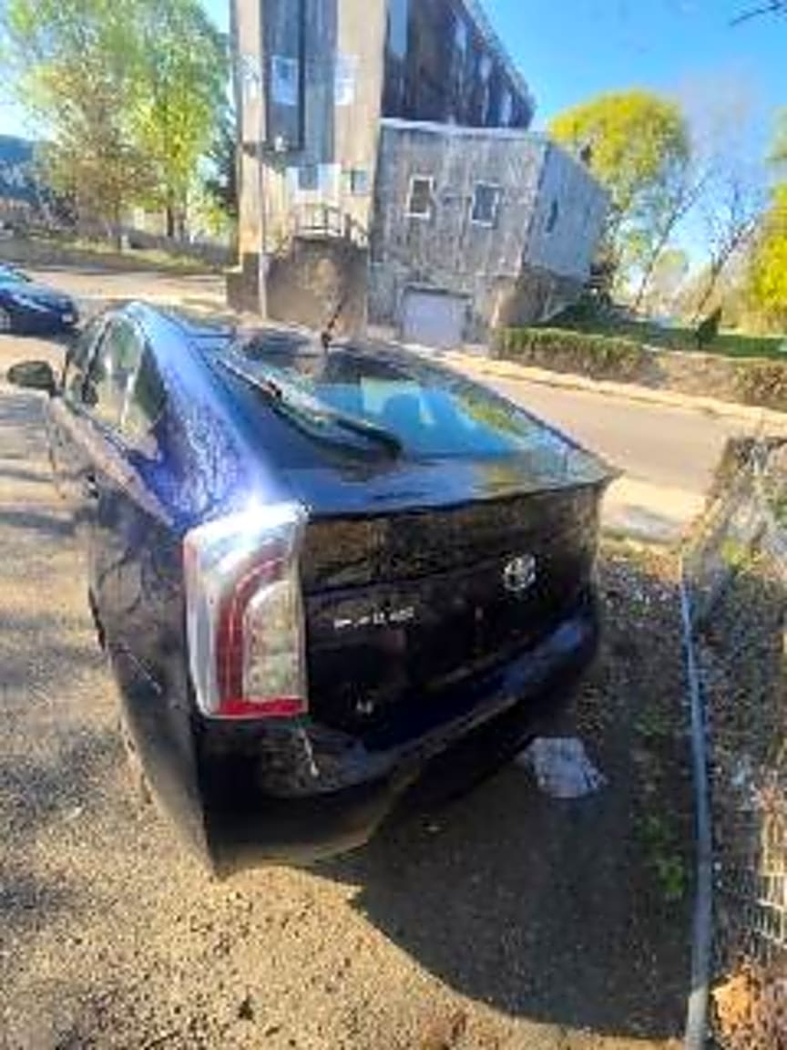 Image submitted with report