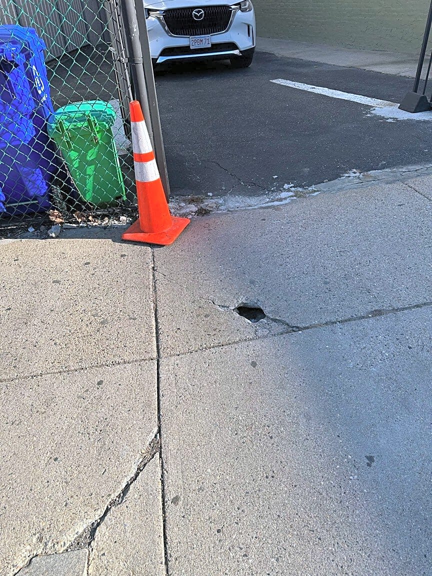 Image submitted with report