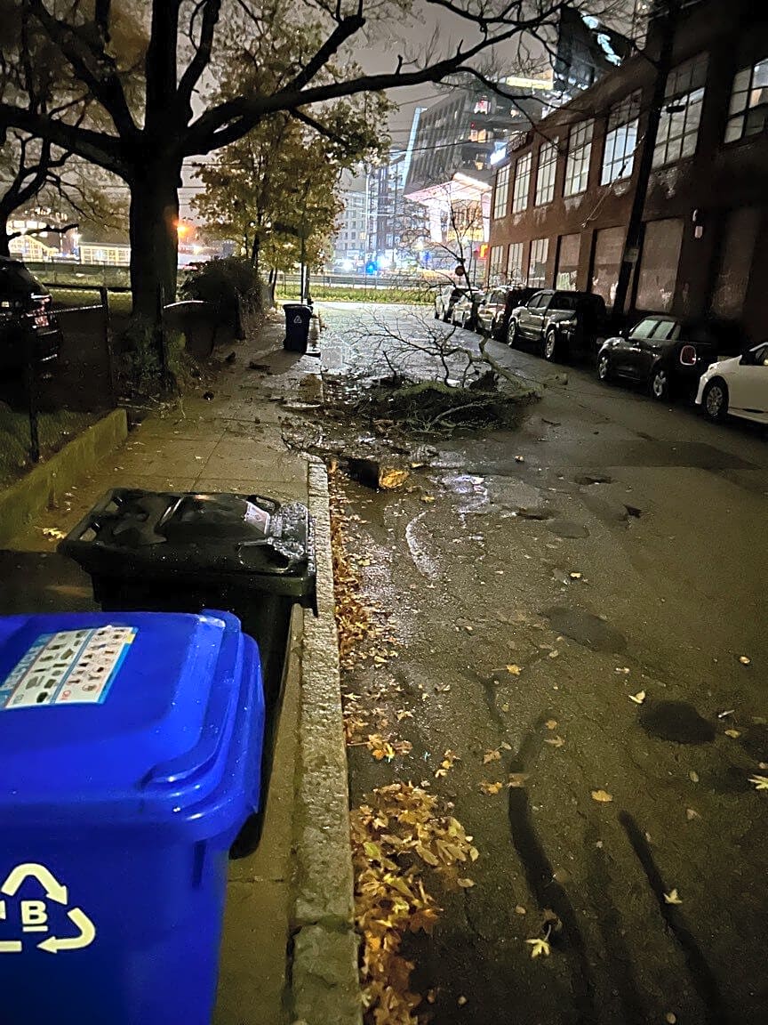 Image submitted with report