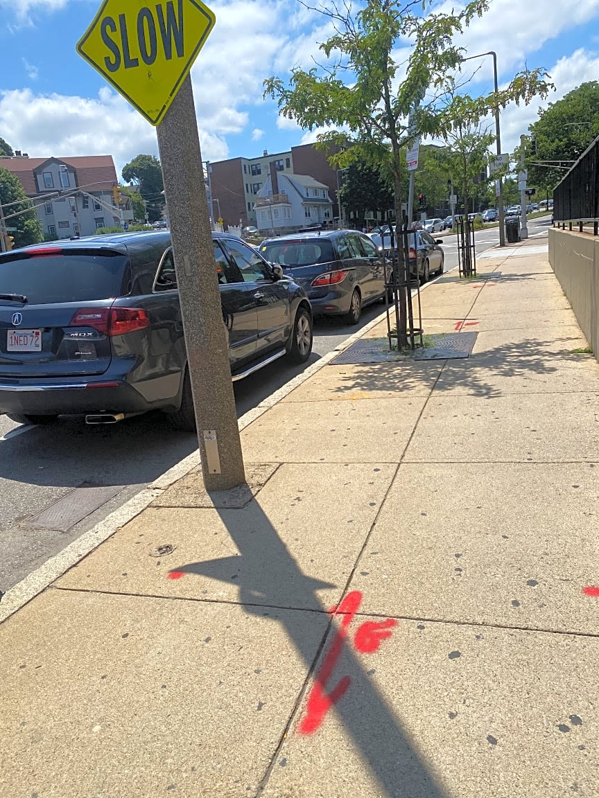 Image submitted with report