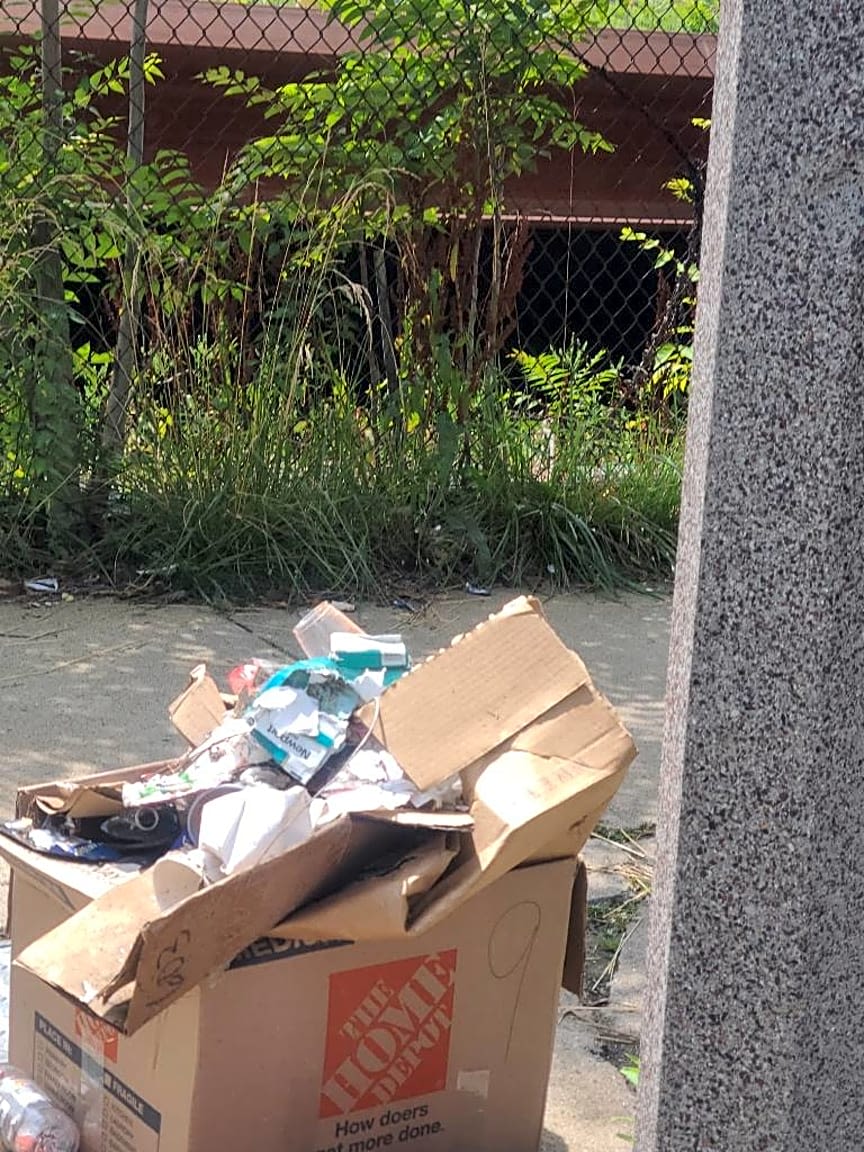 Image submitted with report
