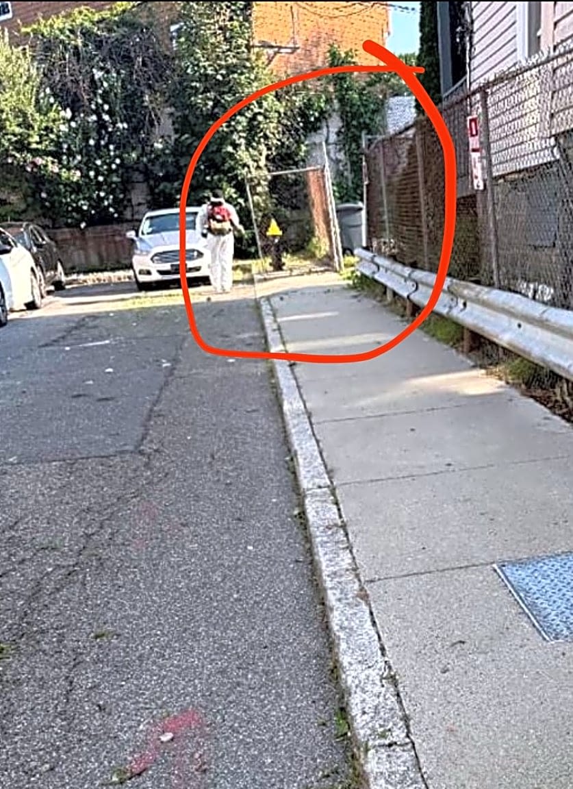 Image submitted with report