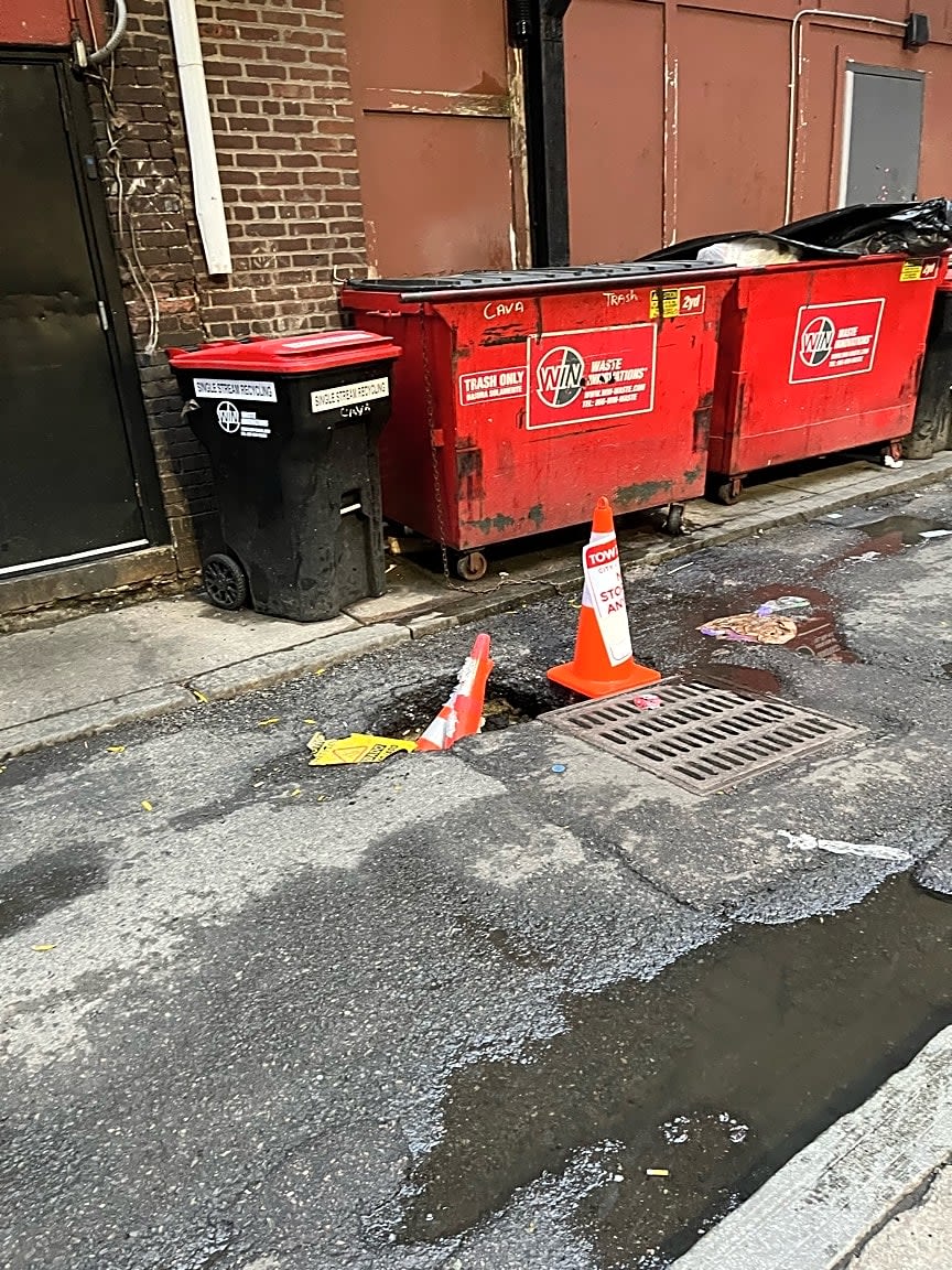 Image submitted with report