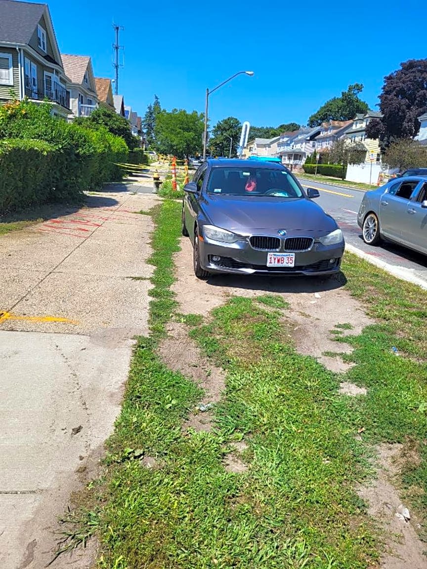 Image submitted with report