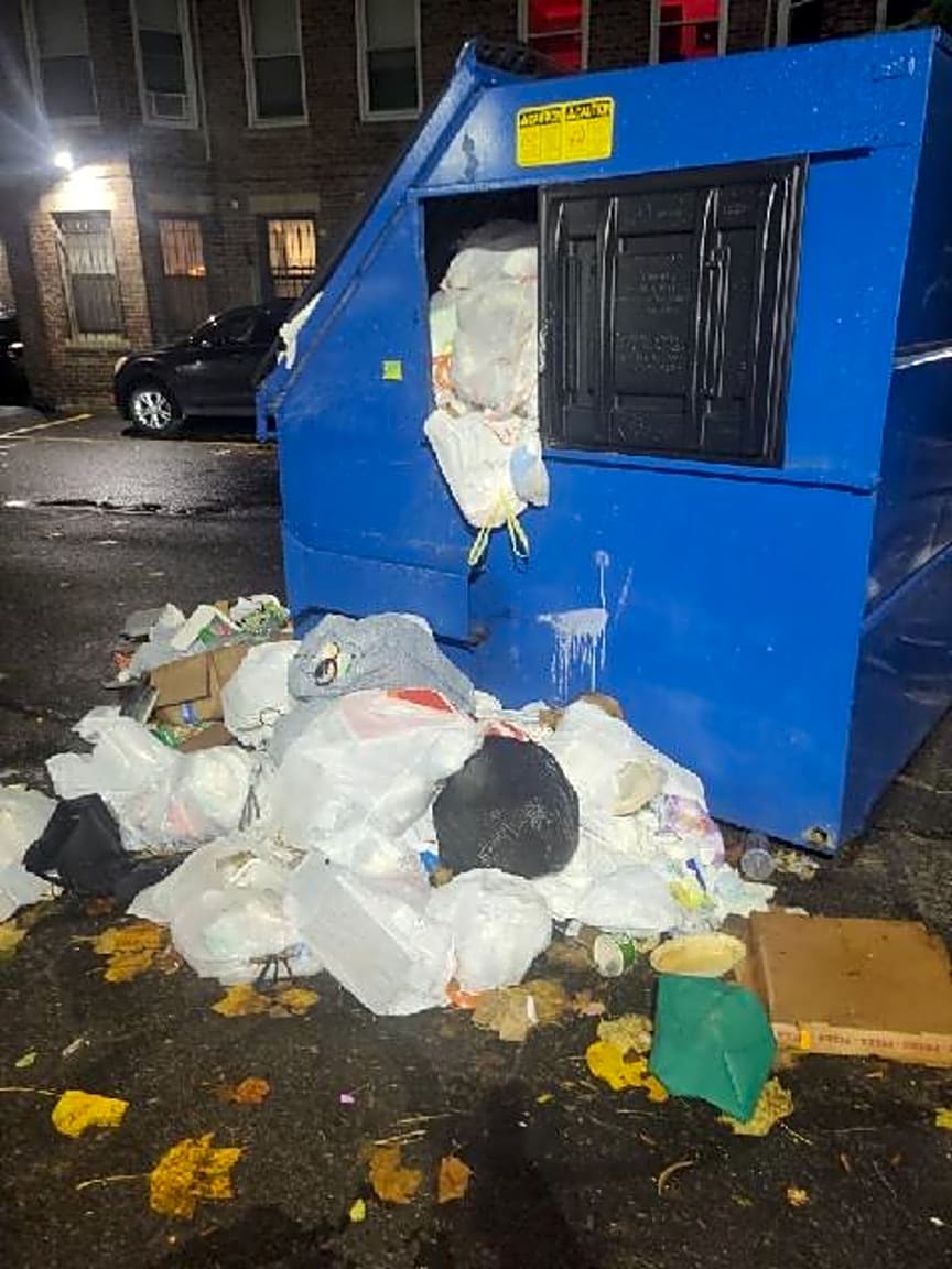 Image submitted with report