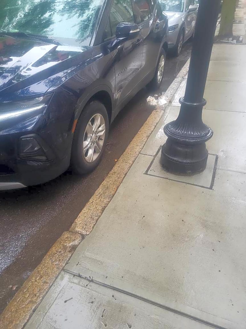 Image submitted with report