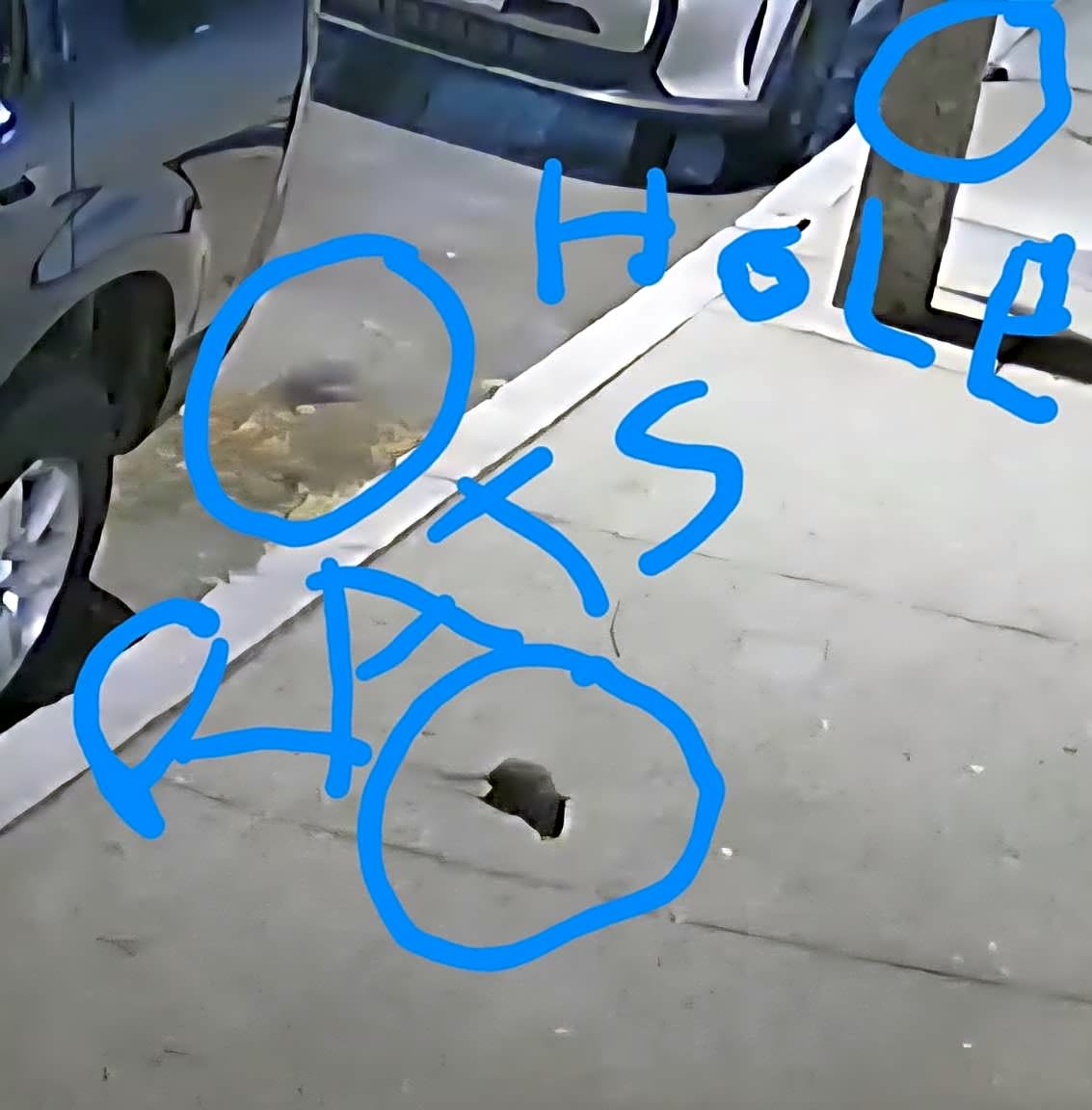 Image submitted with report