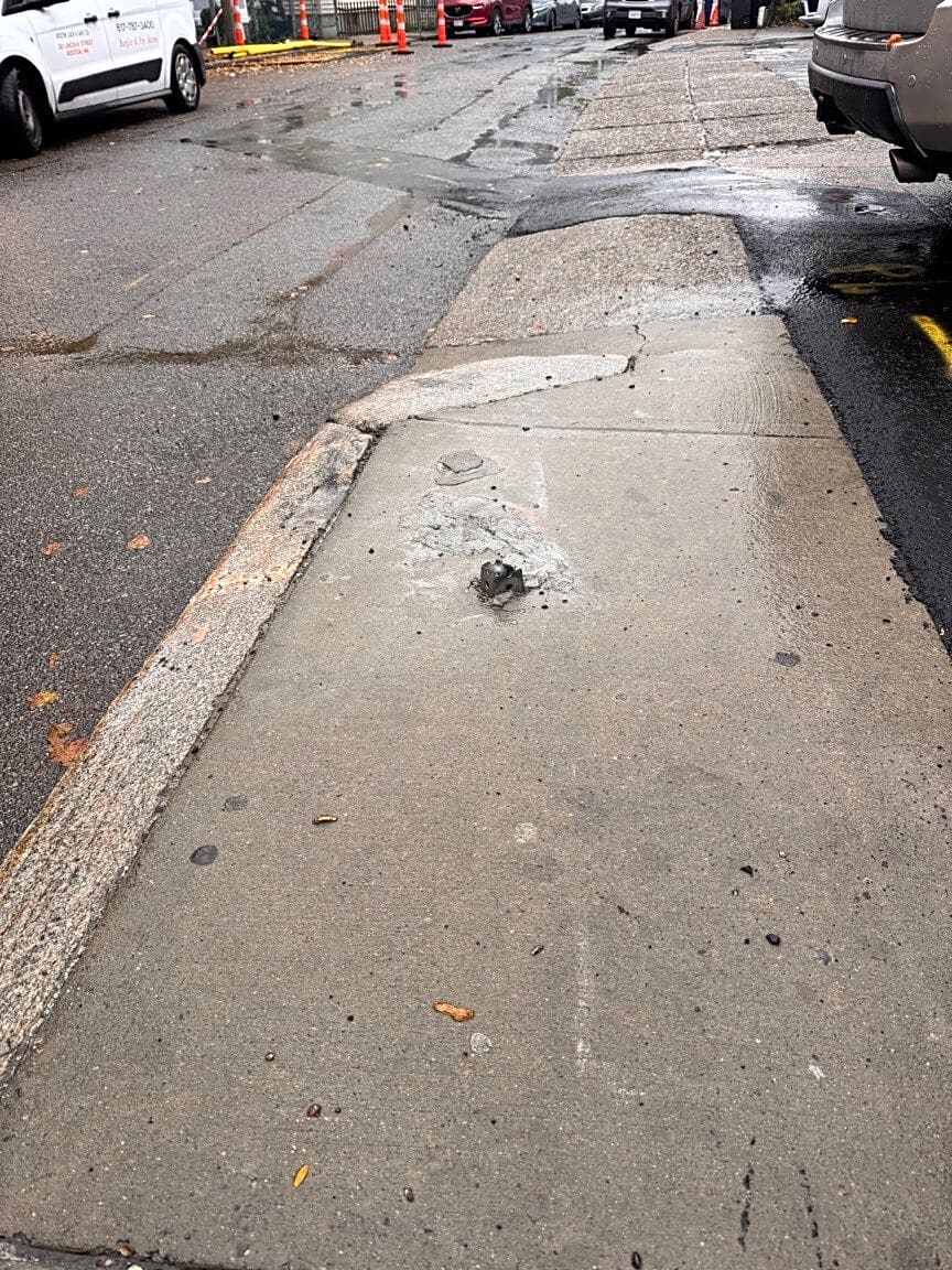 Image submitted with report