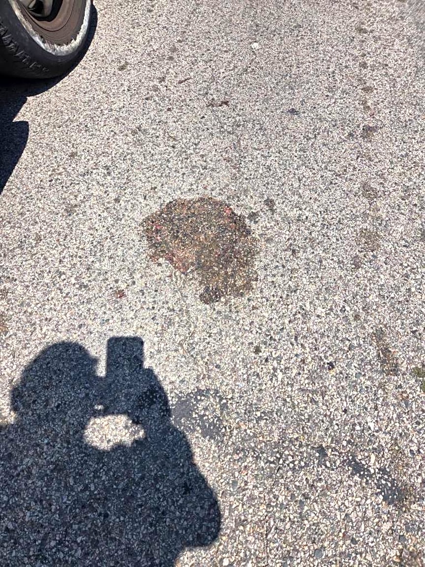 Image submitted with report