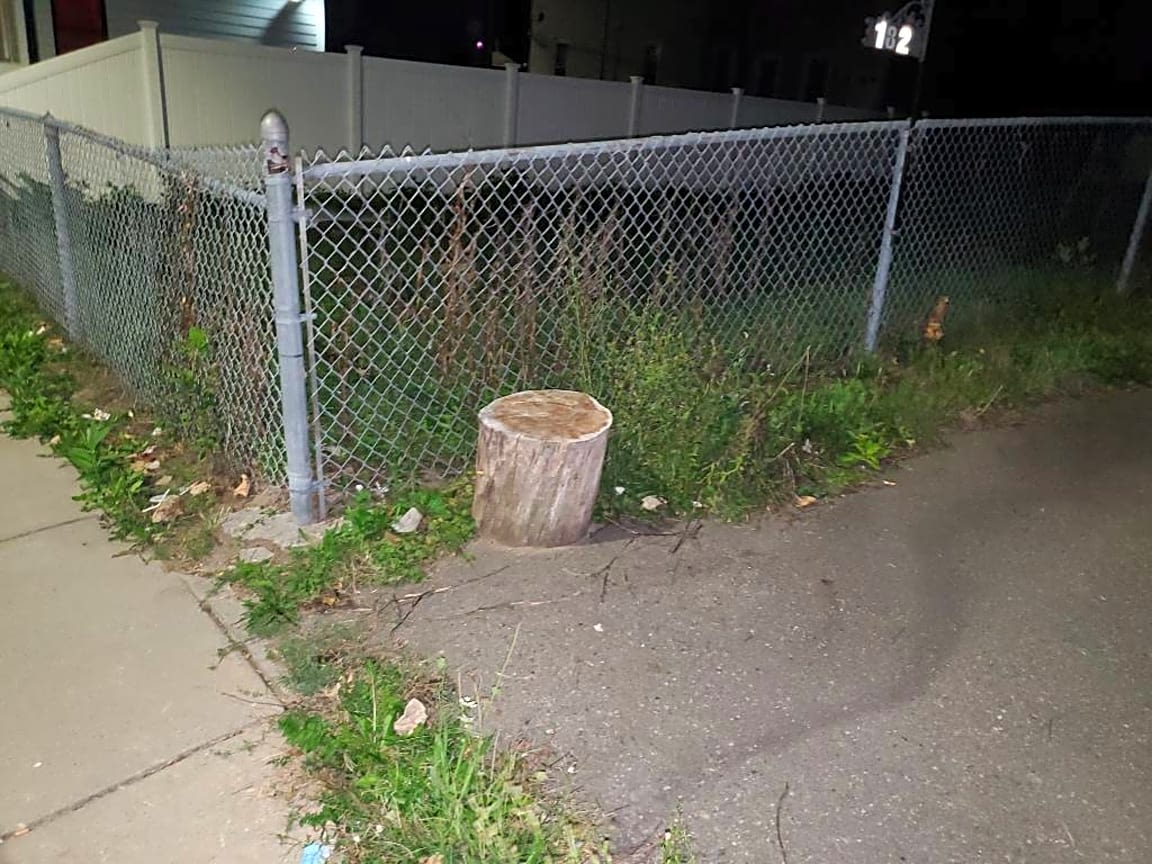 Image submitted with report