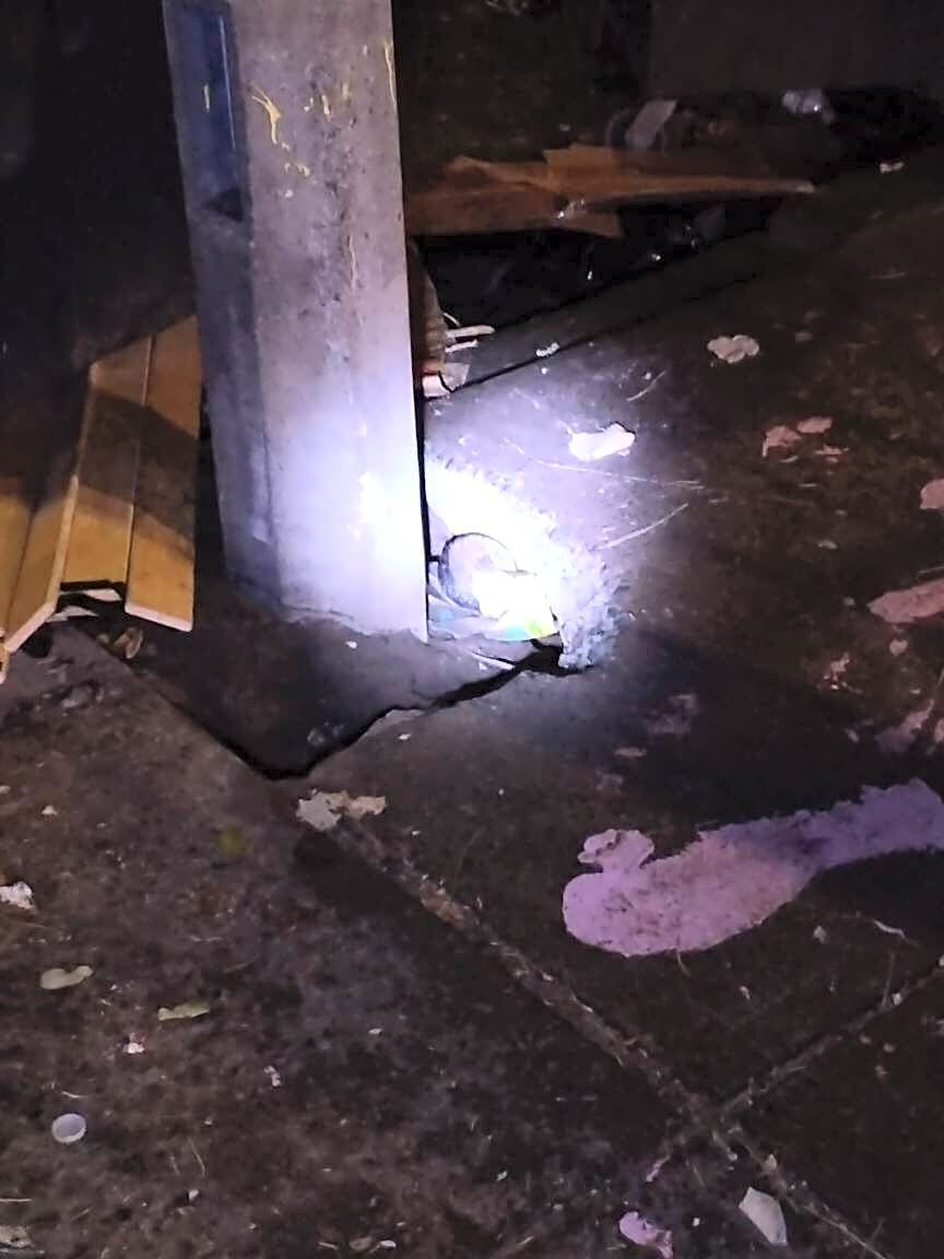 Image submitted with report