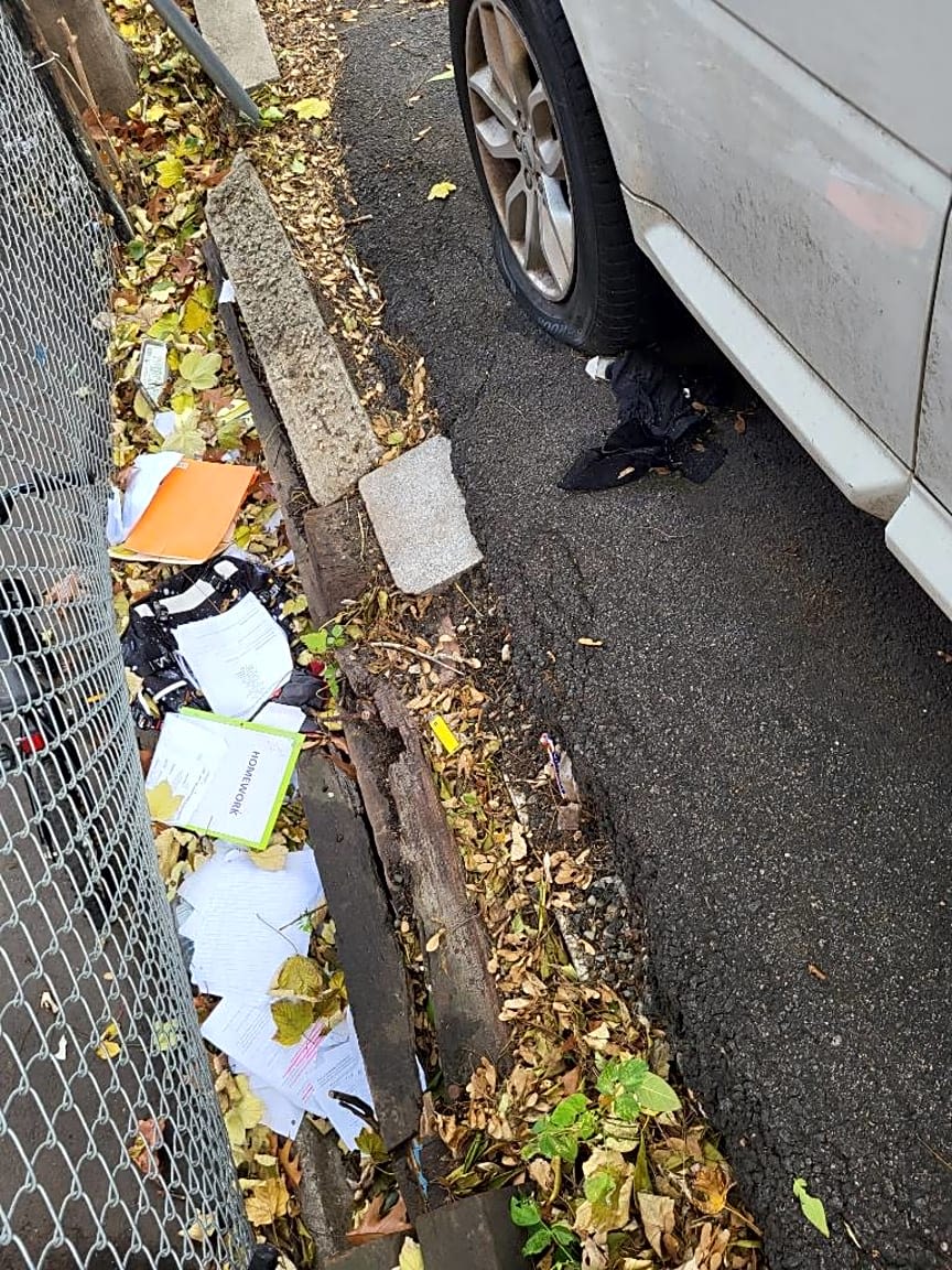 Image submitted with report