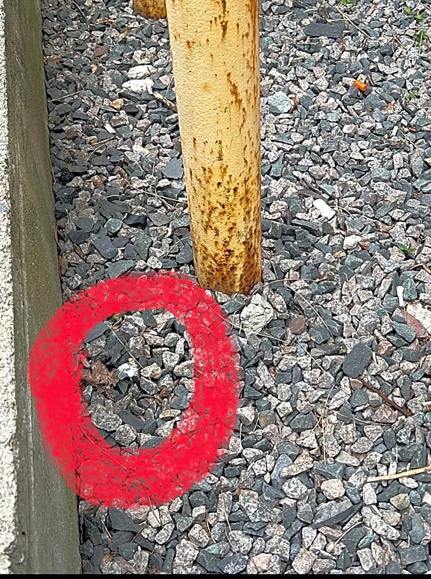 Image submitted with report