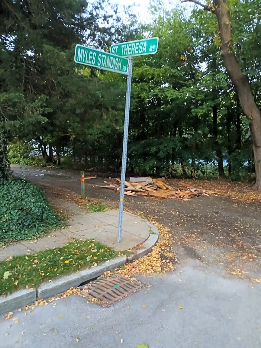 Image submitted with report