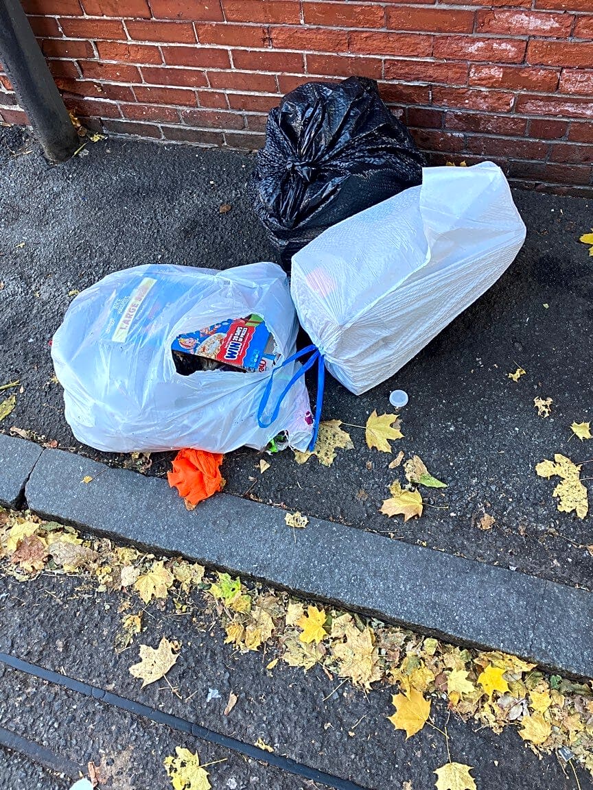 Image submitted with report