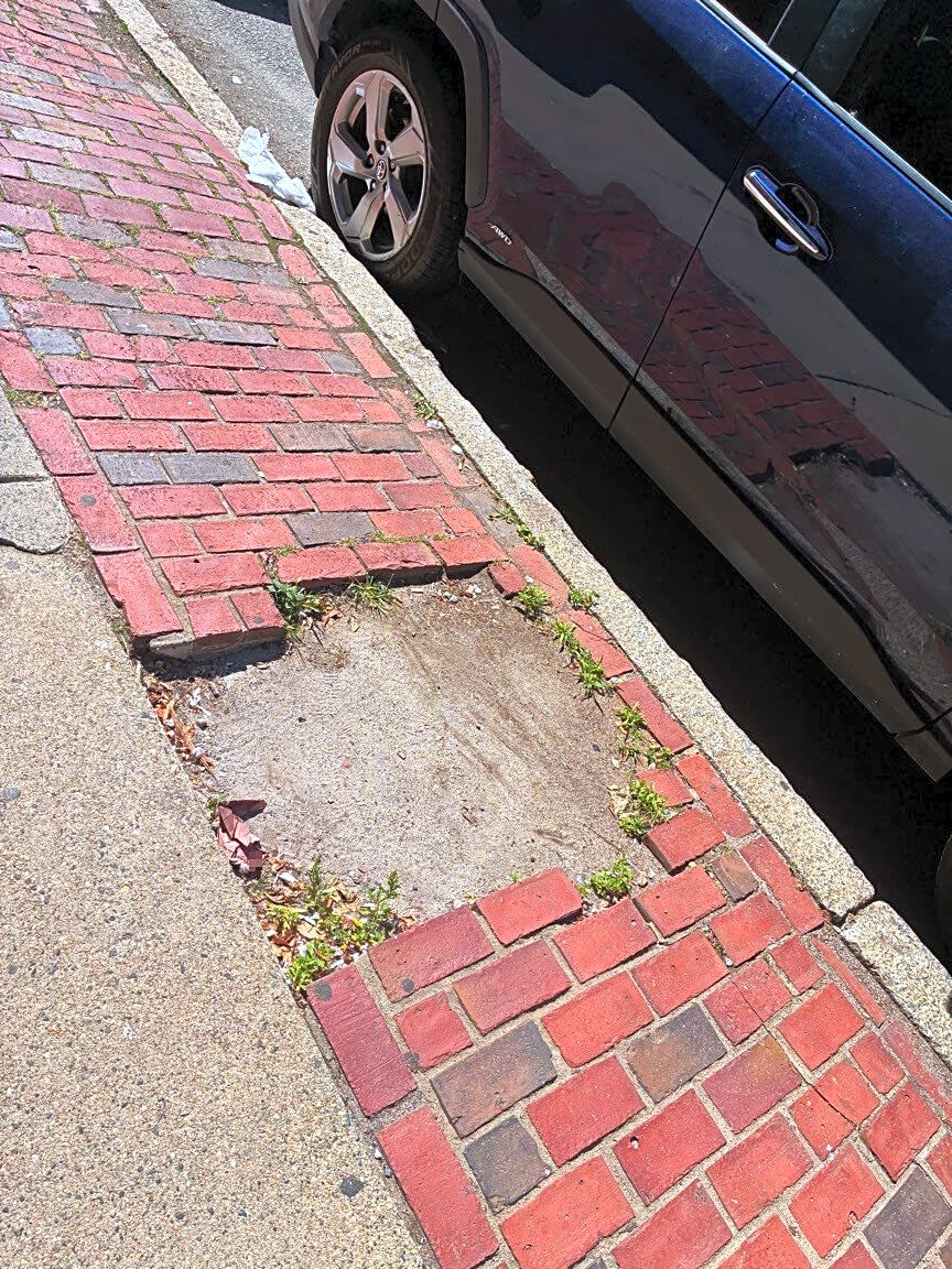 Image submitted with report
