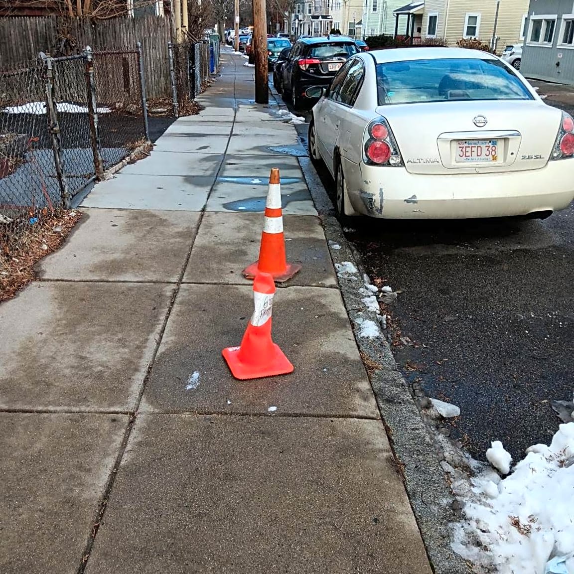 Image submitted with report