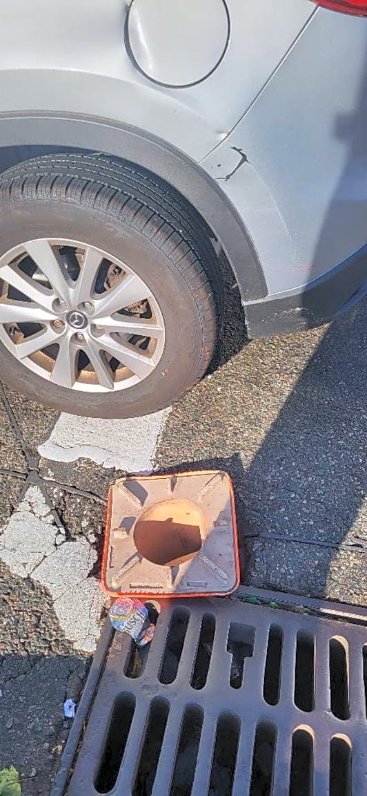 Image submitted with report