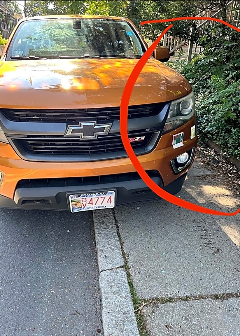 Image submitted with report