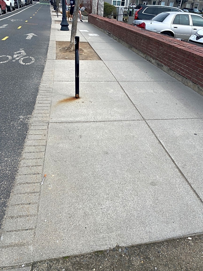 Image submitted with report