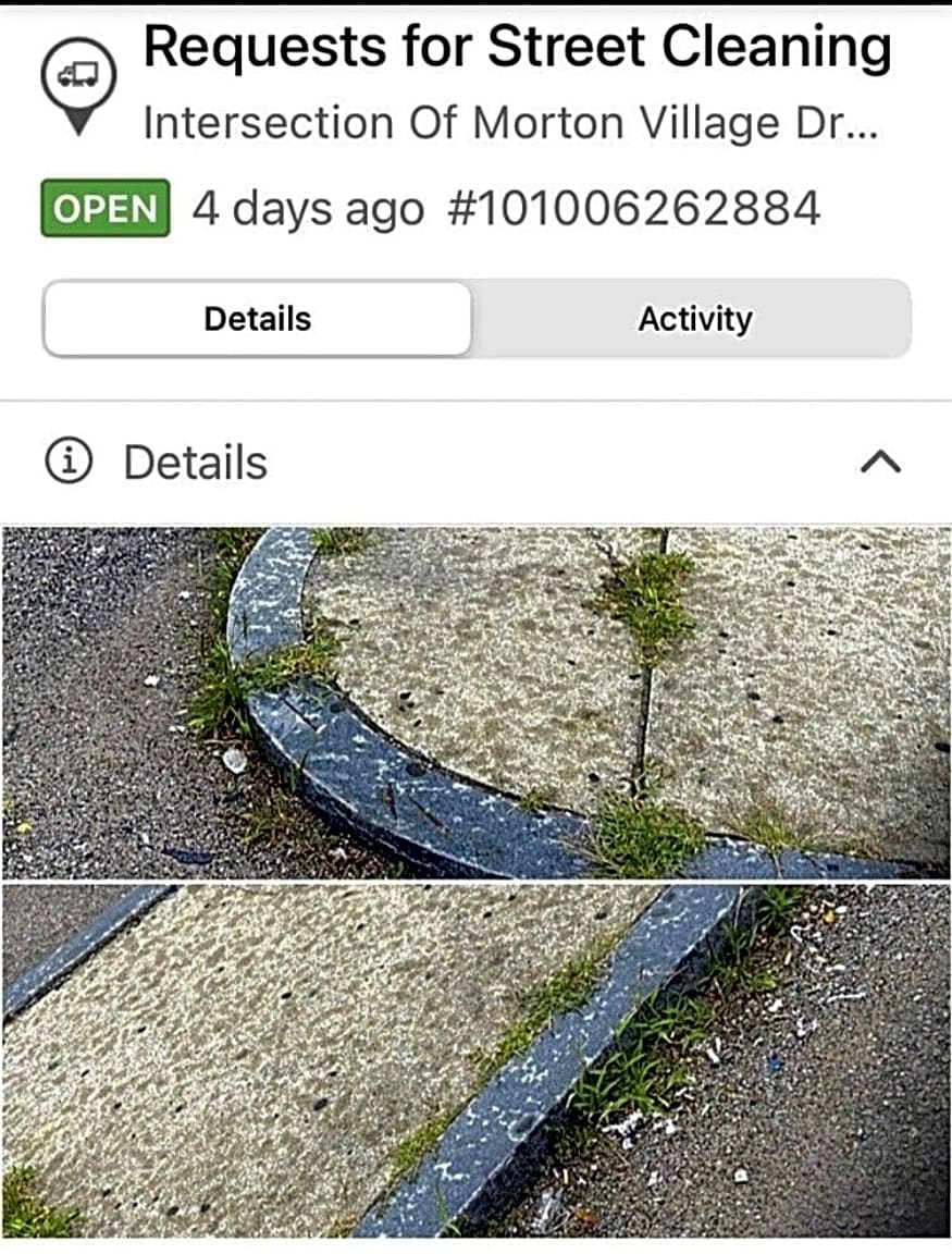 Image submitted with report