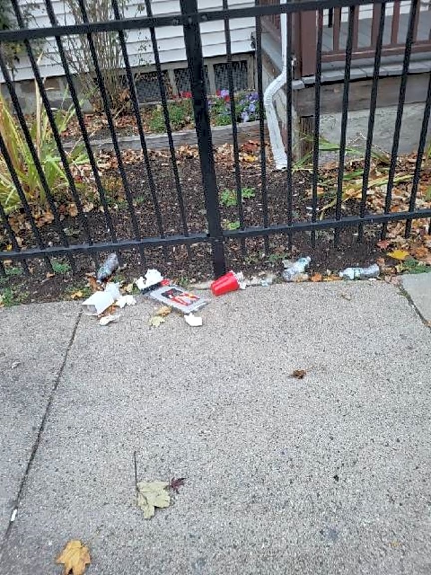 Image submitted with report