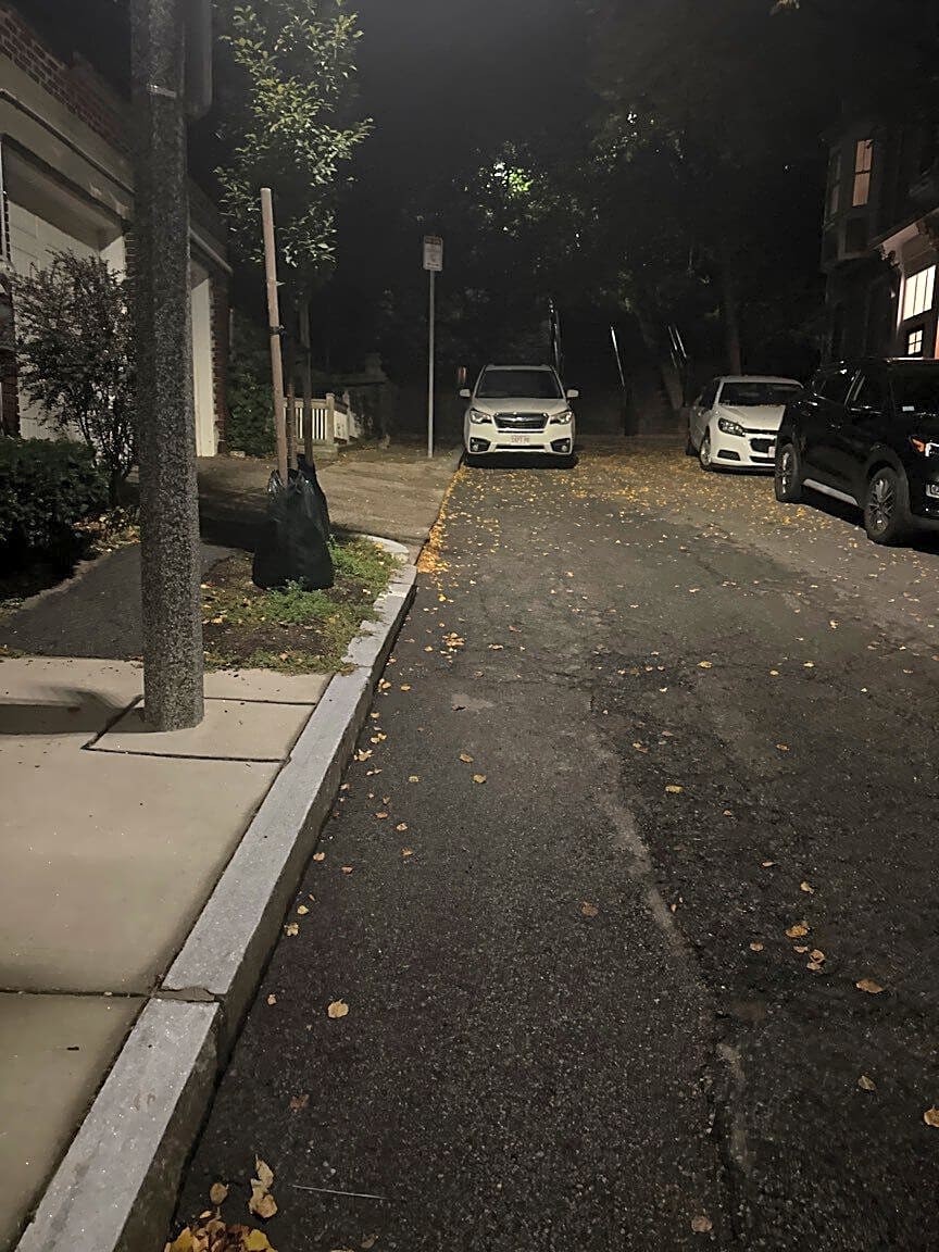 Image submitted with report