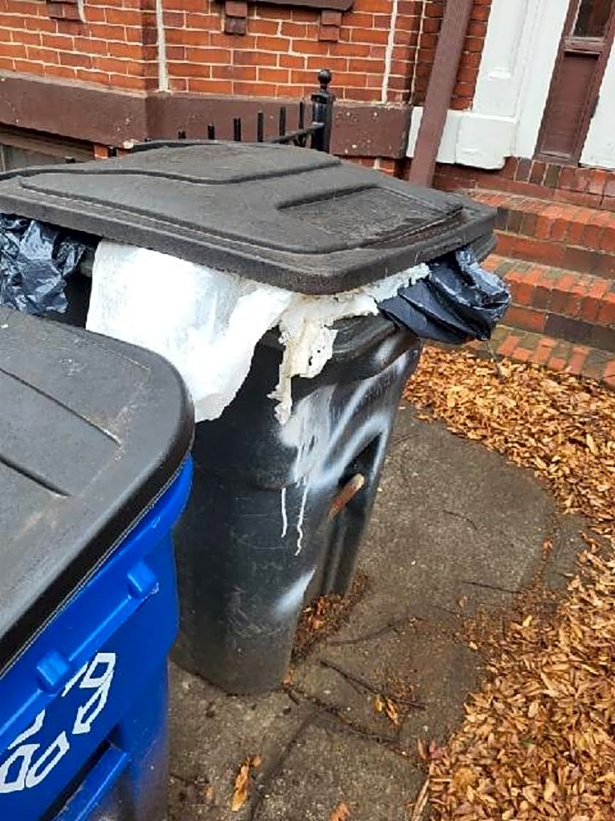 Image submitted with report