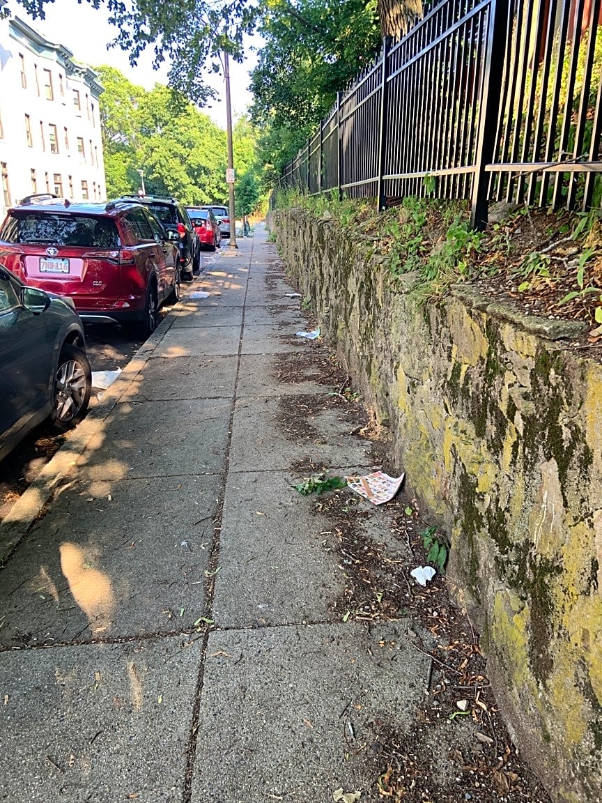 Image submitted with report