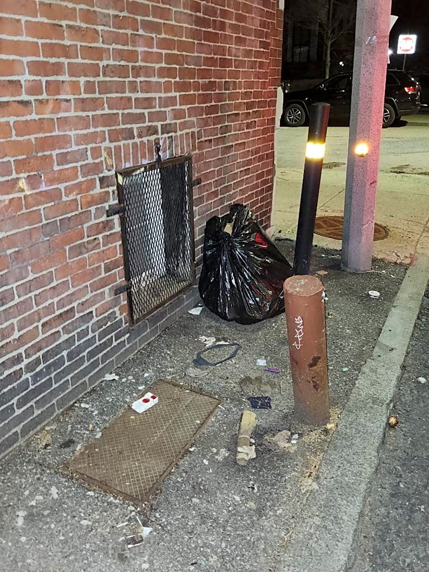 Image submitted with report