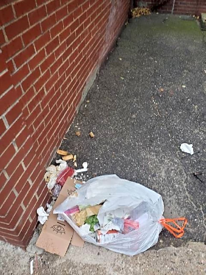 Image submitted with report