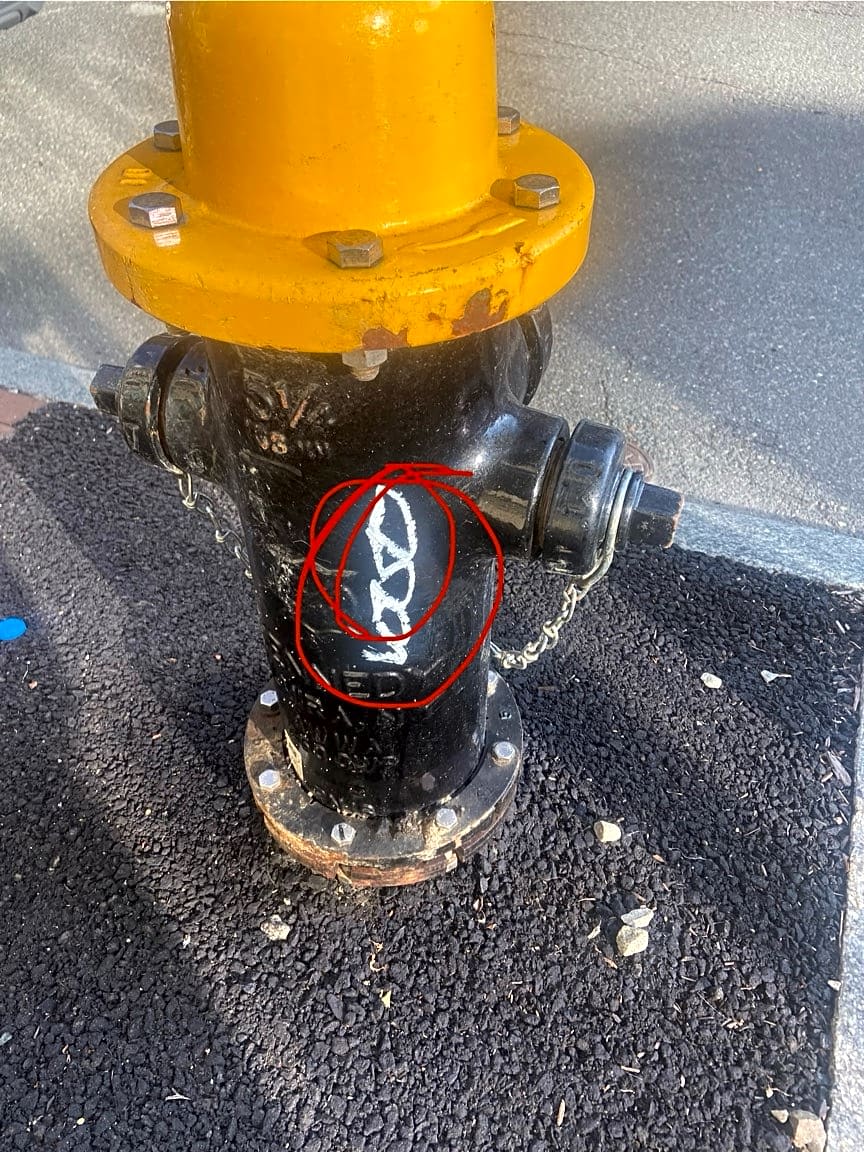 Image submitted with report