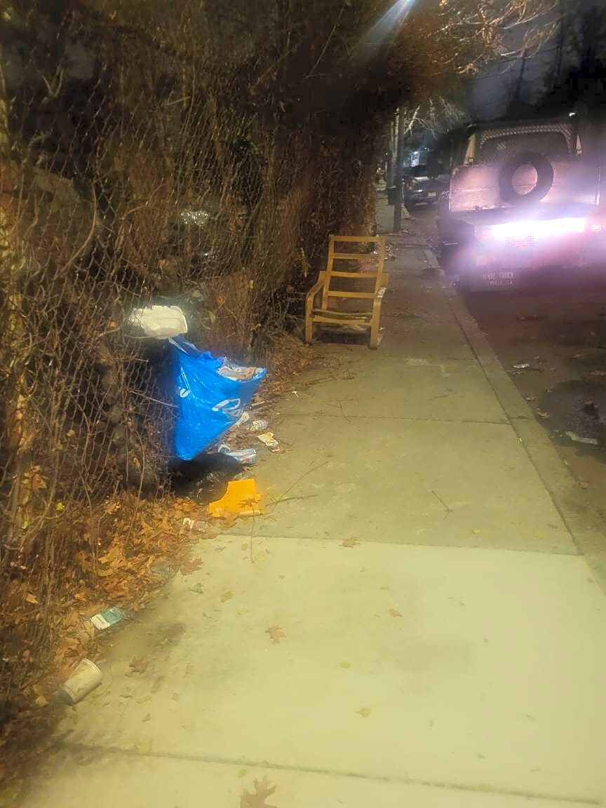 Image submitted with report