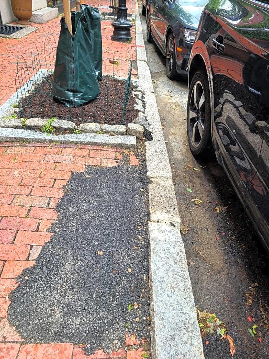 Image submitted with report