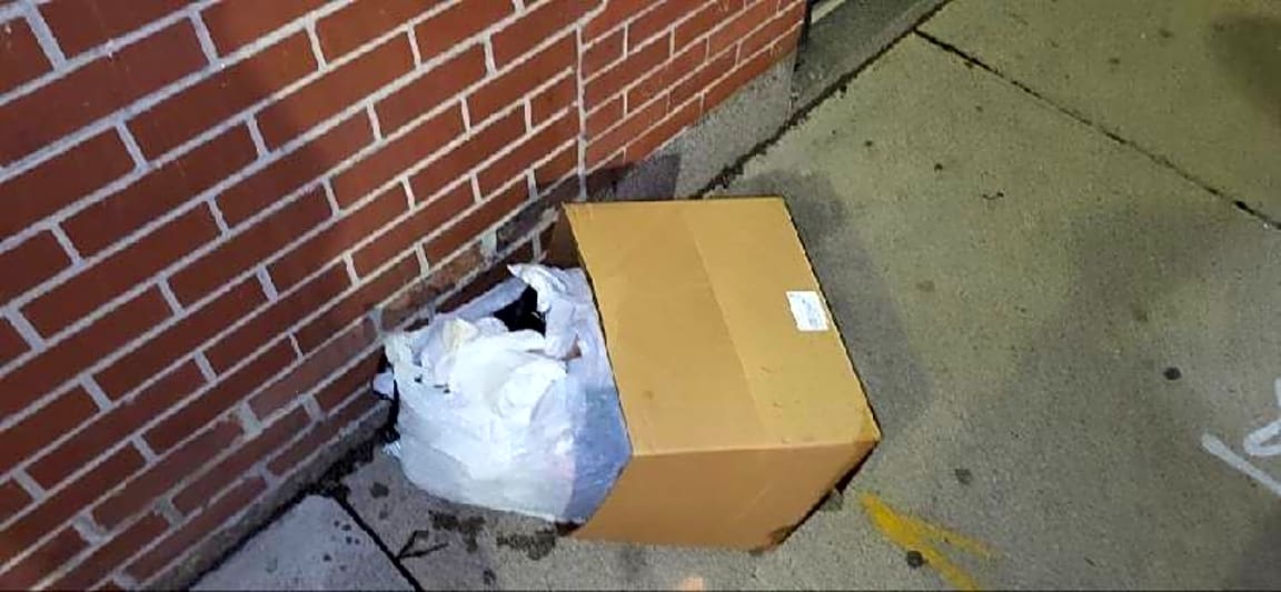 Image submitted with report